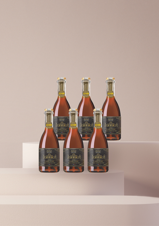 Edition Lamothe Merlot | Cabernet Sauvignon 0,375l, 6 Pack