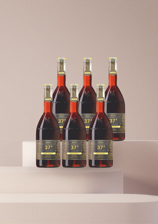 37° Pinot Noir | Framboise | Cerise 0,75l