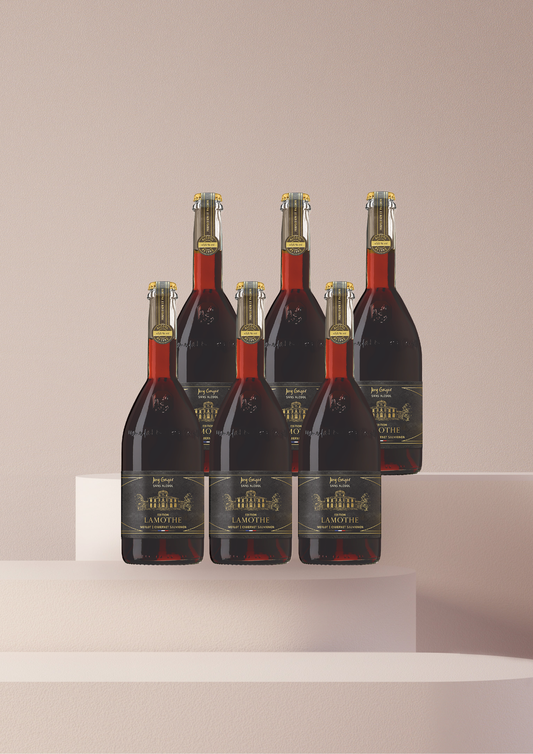 Edition Lamothe Merlot | Cabernet Sauvignon 0,75l